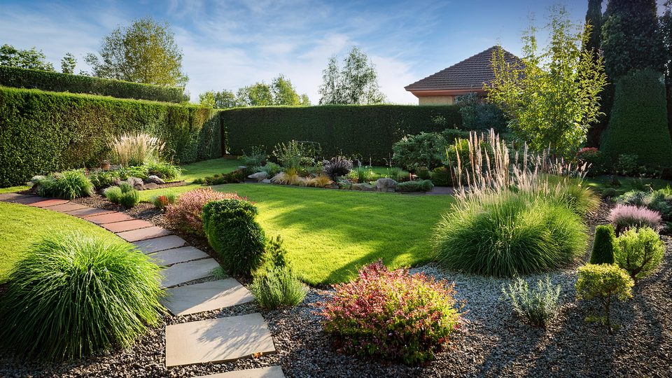 Neu angelegter Garten mit Rasenfläche